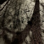 Unshoveled/Icy Sidewalk at 201 Freeman St