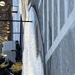 Unshoveled/Icy Sidewalk at 423 Walnut St