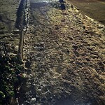 Unshoveled/Icy Sidewalk at 206 Freeman St