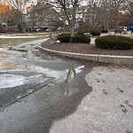 Water and Sewer at 81–99 Newell Rd