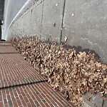 Sidewalk Obstruction at William H. Lincoln School, 19 Kennard Rd, Brookline 02445
