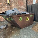 Rodent Issues at 20 Webster Pl