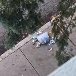 Trash/Recycling at 50 Garrison Rd