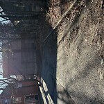 Trash/Recycling at 23 Strathmore Rd