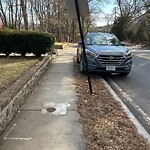 Damaged Sign at 278 South St, Chestnut Hill