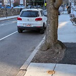 Parking Issues at 74 Chestnut St