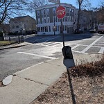 Trash/Recycling at 282 Cypress St