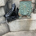 Trash/Recycling at 1514 Beacon St