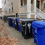 Trash/Recycling at 119 Browne St