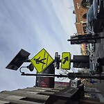 Traffic Signal at 285 Harvard St, Brookline 02446