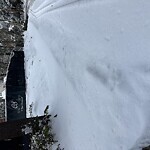 Unshoveled/Icy Sidewalk at Woodland Rd, Chestnut Hill