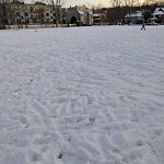 Park Playground at 290 342 Cypress St