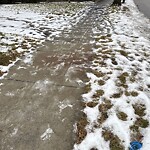 Unshoveled/Icy Sidewalk at 247 Fisher Ave