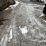 Unshoveled/Icy Sidewalk at 42.33 N 71.13 W