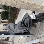 Parking Issues at 923 Beacon St