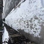 Unshoveled/Icy Sidewalk at 140 Dudley St