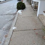 Trash/Recycling at 67 Franklin St