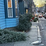 Sidewalk Obstruction at 12 White Pl