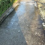 Unshoveled/Icy Sidewalk at 44 Amory St