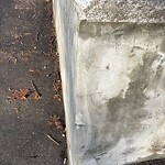 Sidewalk Repair at 162 Aspinwall Ave