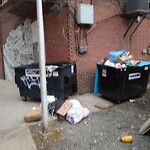 Rodent Issues at 1347 Beacon St