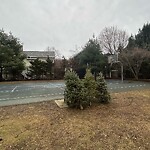 Trash/Recycling at Cypress St