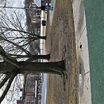 Park Playground at 298 Davis Ave