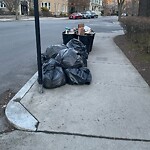 Trash/Recycling at Freeman St