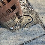 Damaged Sign at 288 Kent St